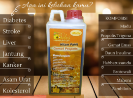 Madu Pahit Gamat Propolis Bibis